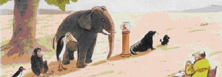 Begeisterte Lehrerin Petra gibt Deutsch Sprachunterricht in Pöllau