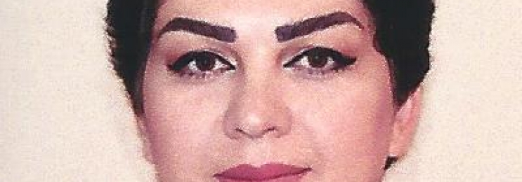 Persisch-Einzelunterrricht  für alle Niveaus mit Pari in Wien