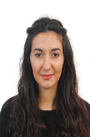 Albanisch Sprachkurs von A1 bis C2 mit Roza in Wien