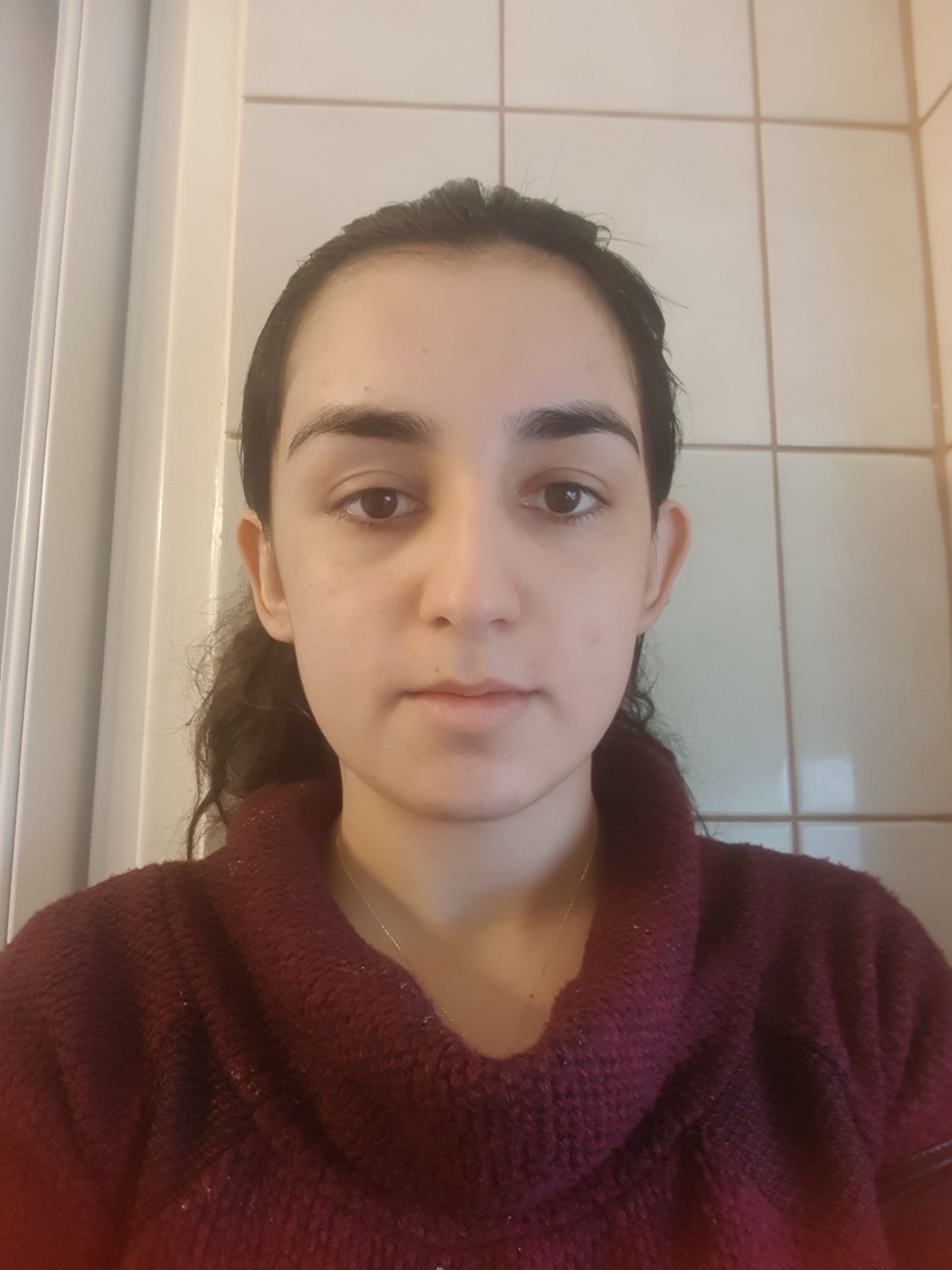 Persisch Sprachkurs mit Muttersprachlerin Shahla in Wien